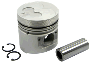 Piston & Pin & Snap Ring