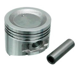 Piston & Pin & Snap Ring