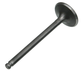 Intake Valve