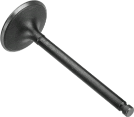 Intake Valve