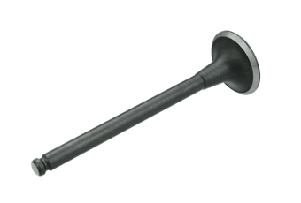 Exhaust Valve