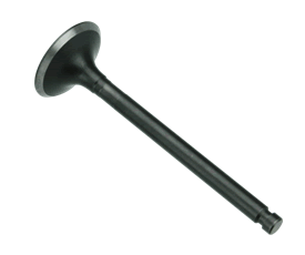 Exhaust Valve